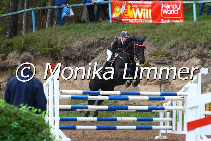 005L5340_Camira_Spring M mit Stechen.JPG